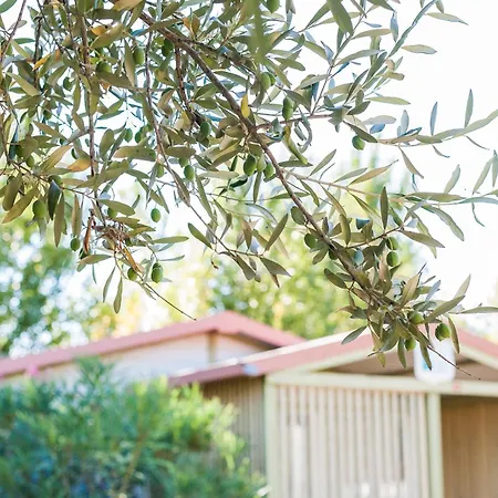 假日公园 Mediterranee 旺德雷