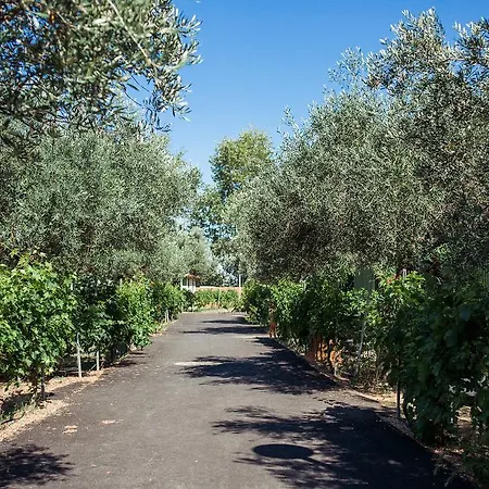 Mediterranee Вандр