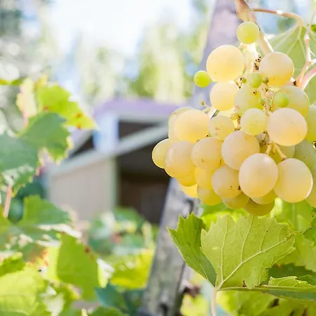 Lodges Mediterranee Vendres