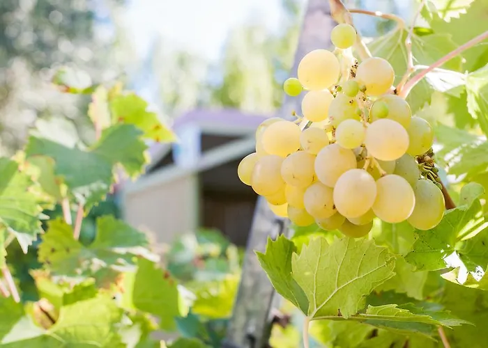 Méditerranée Vendres